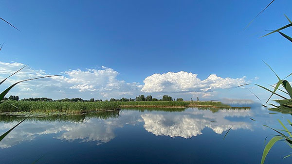西柏坡干部培訓